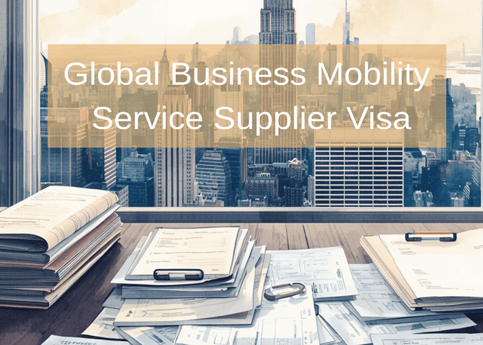 İngiltere Hizmet Sağlayıcı Vizesi